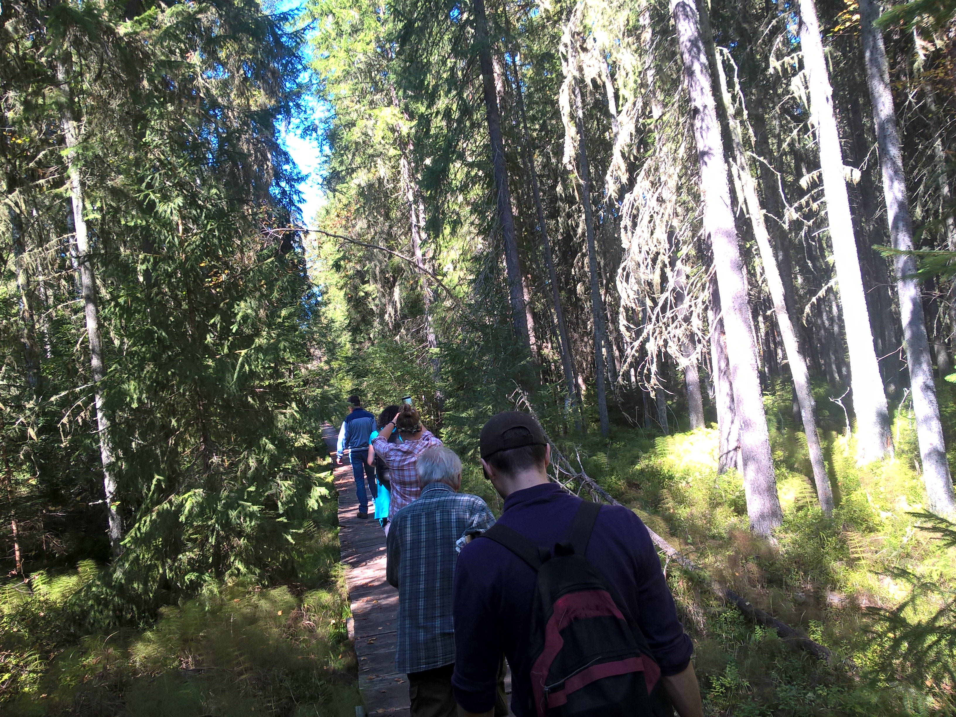 Tabăra micologică, Ediția a III-a, 20-23 septembrie 2018, Poiana Negri – Județul Suceava